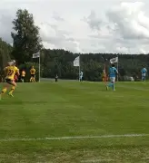 西班牙女足主帅谈绝杀德国